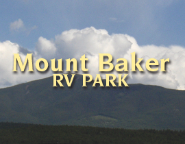 Mount Baker logo